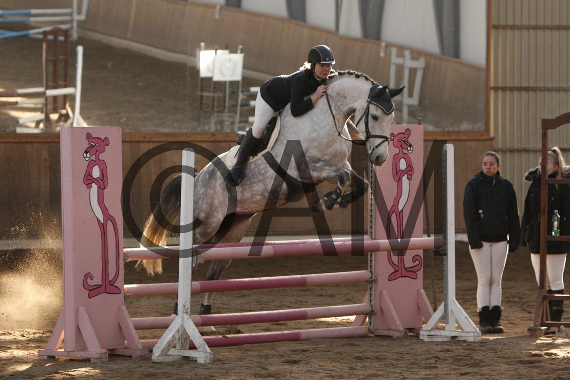 17/03 - 13 | Glostrup rideklub, spring billede 121