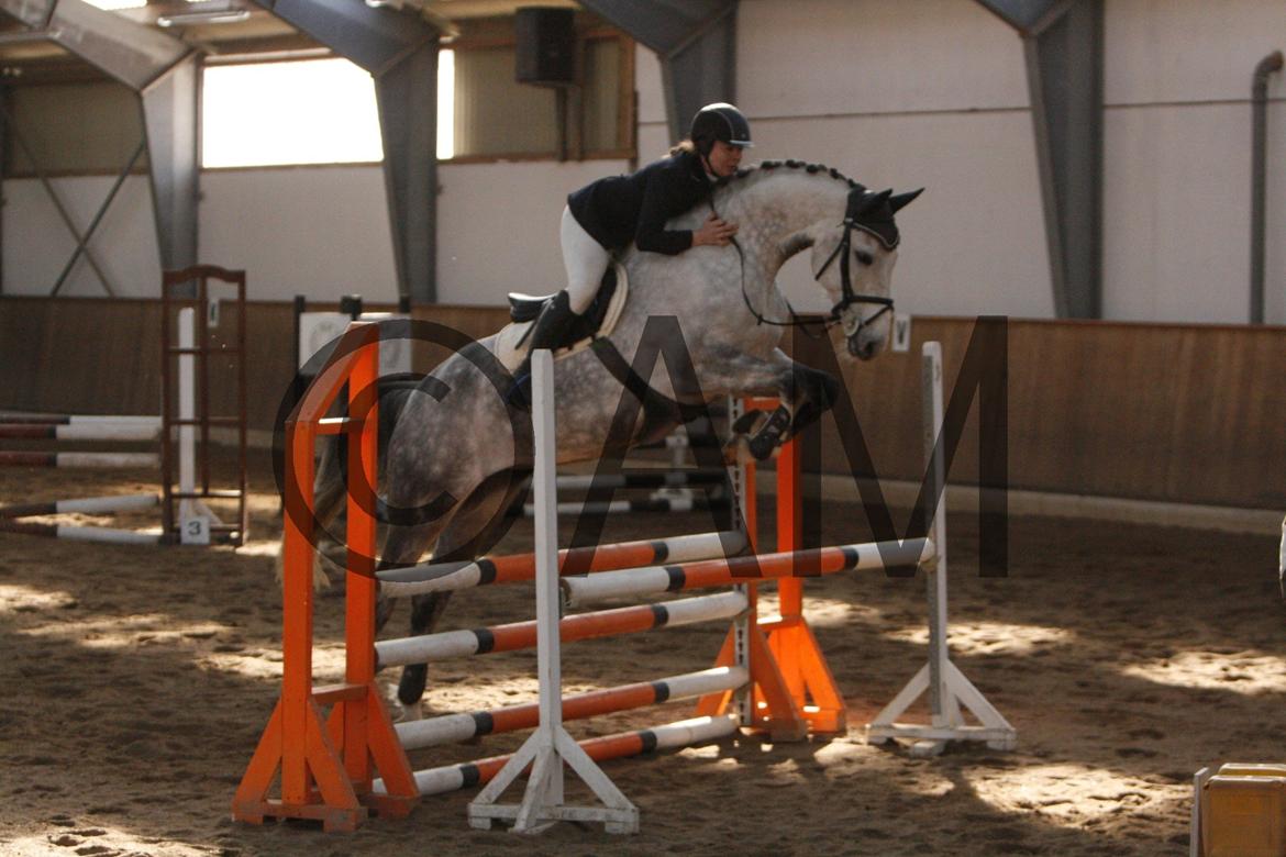 17/03 - 13 | Glostrup rideklub, spring billede 122