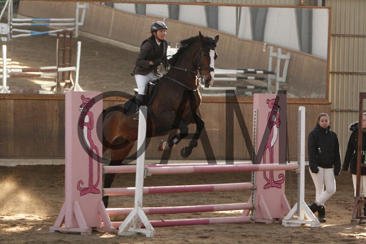 17/03 - 13 | Glostrup rideklub, spring billede 123