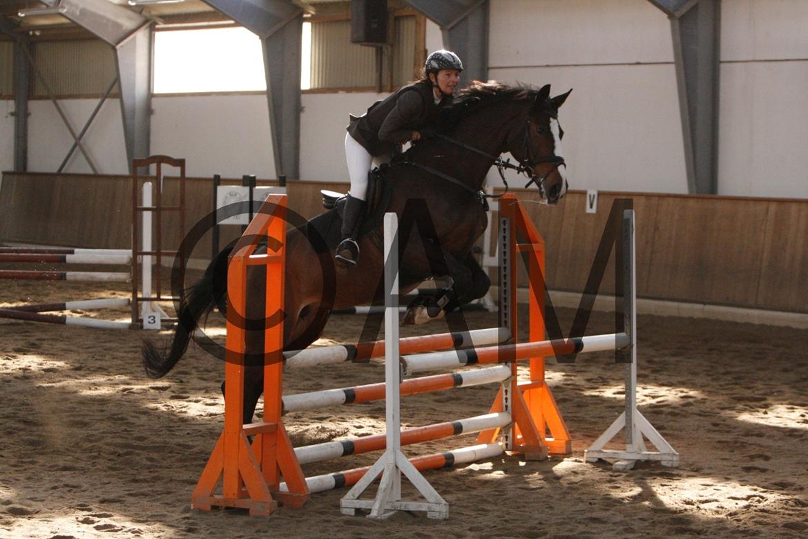 17/03 - 13 | Glostrup rideklub, spring billede 124