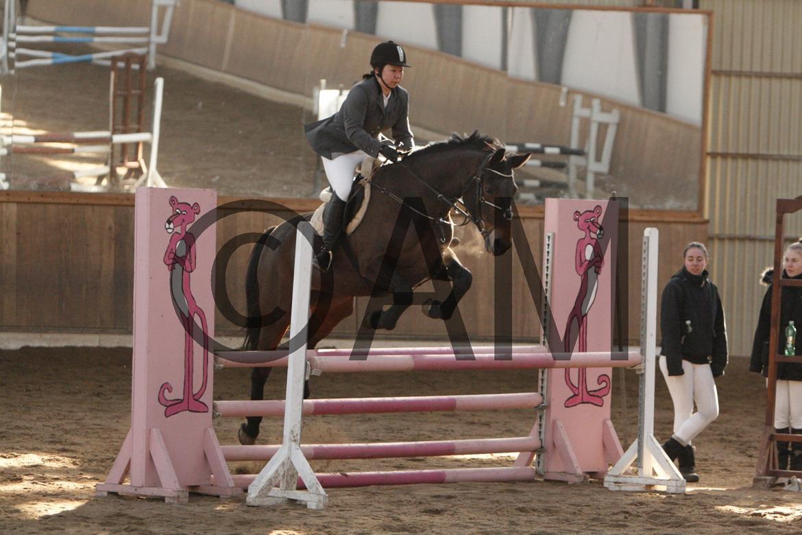 17/03 - 13 | Glostrup rideklub, spring billede 125