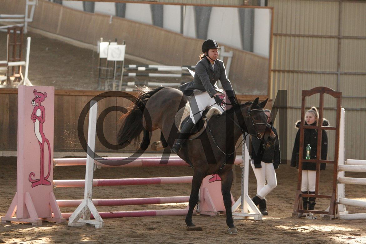 17/03 - 13 | Glostrup rideklub, spring billede 126