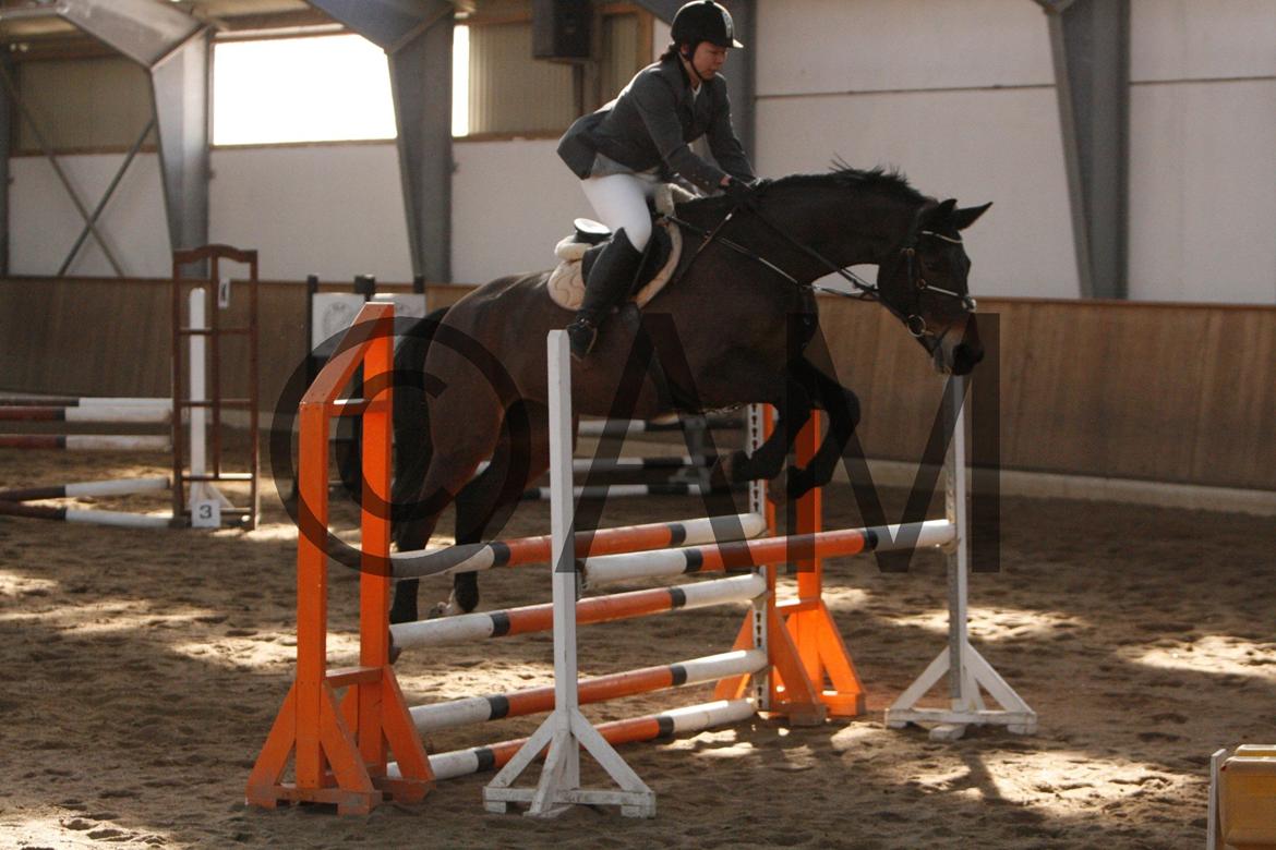 17/03 - 13 | Glostrup rideklub, spring billede 127