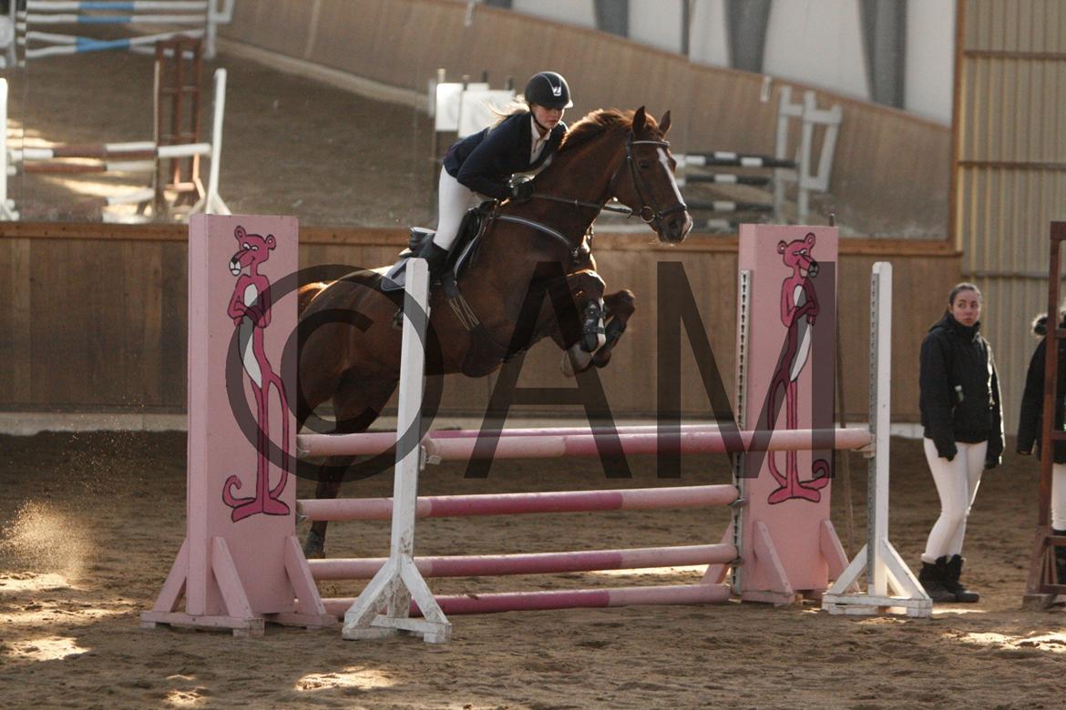 17/03 - 13 | Glostrup rideklub, spring billede 128