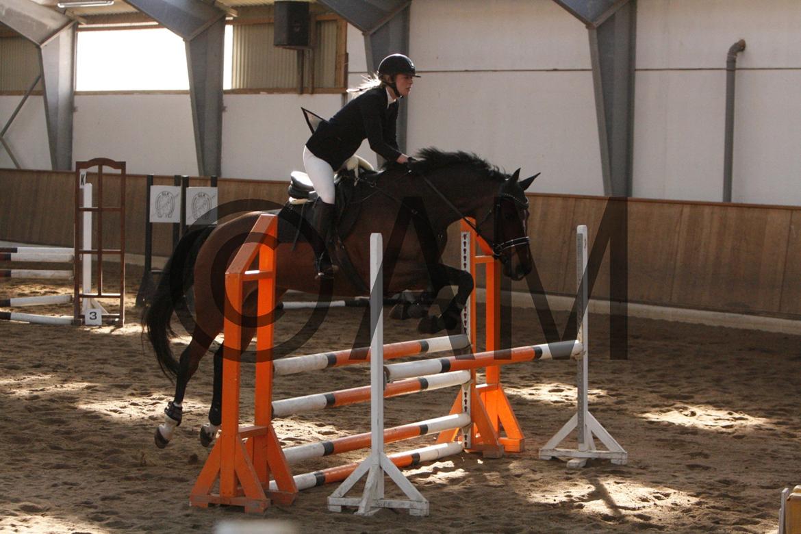 17/03 - 13 | Glostrup rideklub, spring billede 130