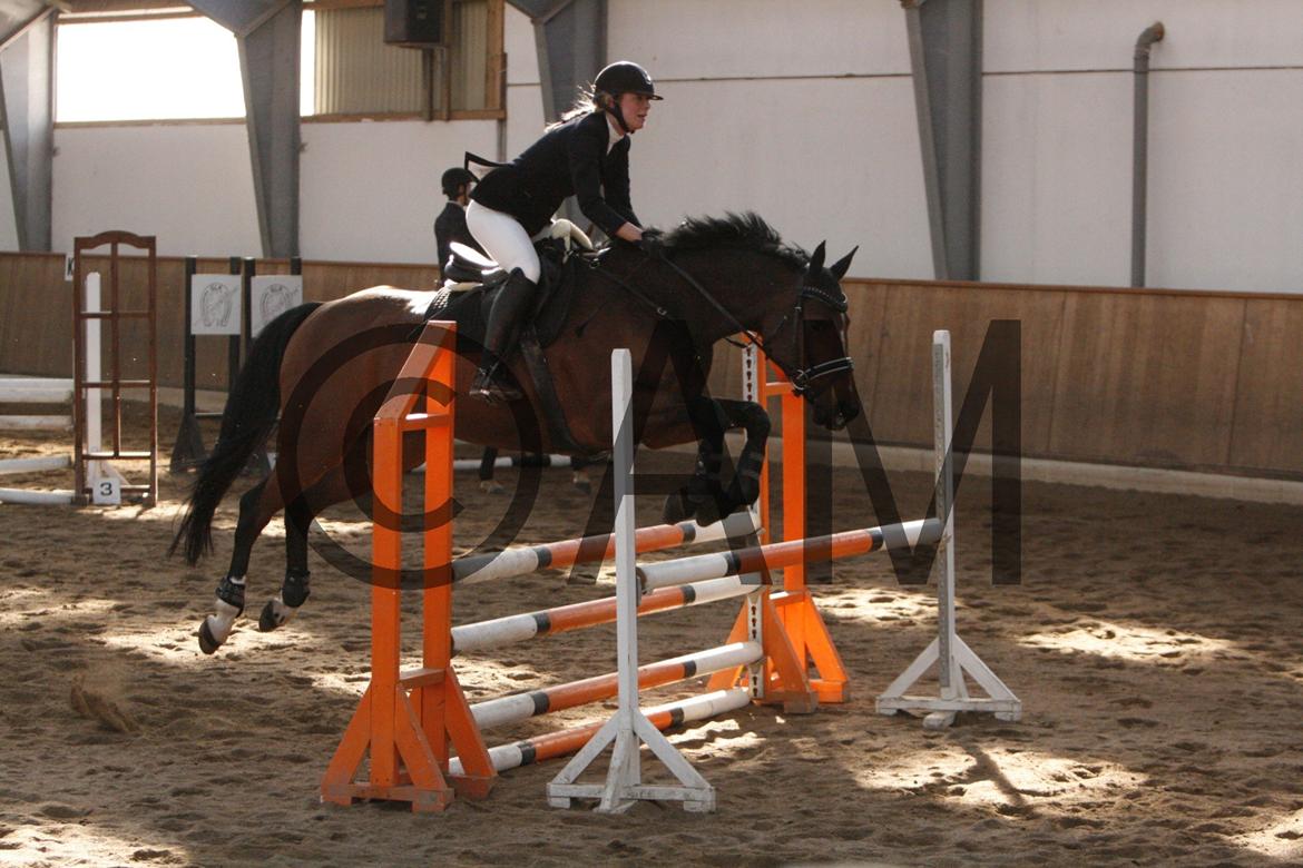 17/03 - 13 | Glostrup rideklub, spring billede 131