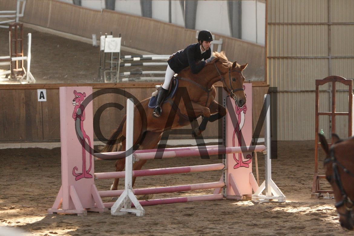 17/03 - 13 | Glostrup rideklub, spring billede 132