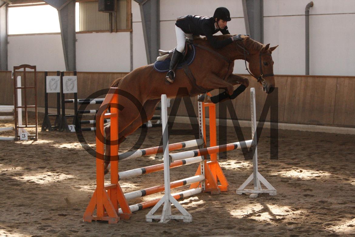 17/03 - 13 | Glostrup rideklub, spring billede 133