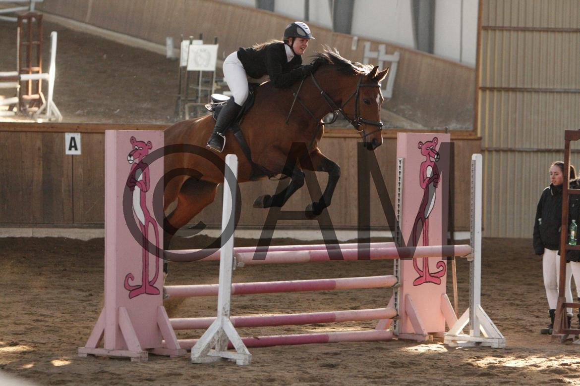 17/03 - 13 | Glostrup rideklub, spring billede 134