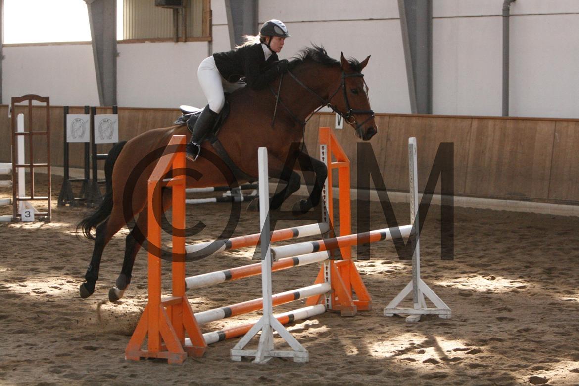 17/03 - 13 | Glostrup rideklub, spring billede 136