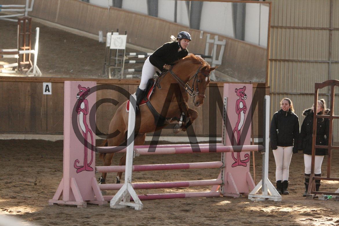 17/03 - 13 | Glostrup rideklub, spring billede 137