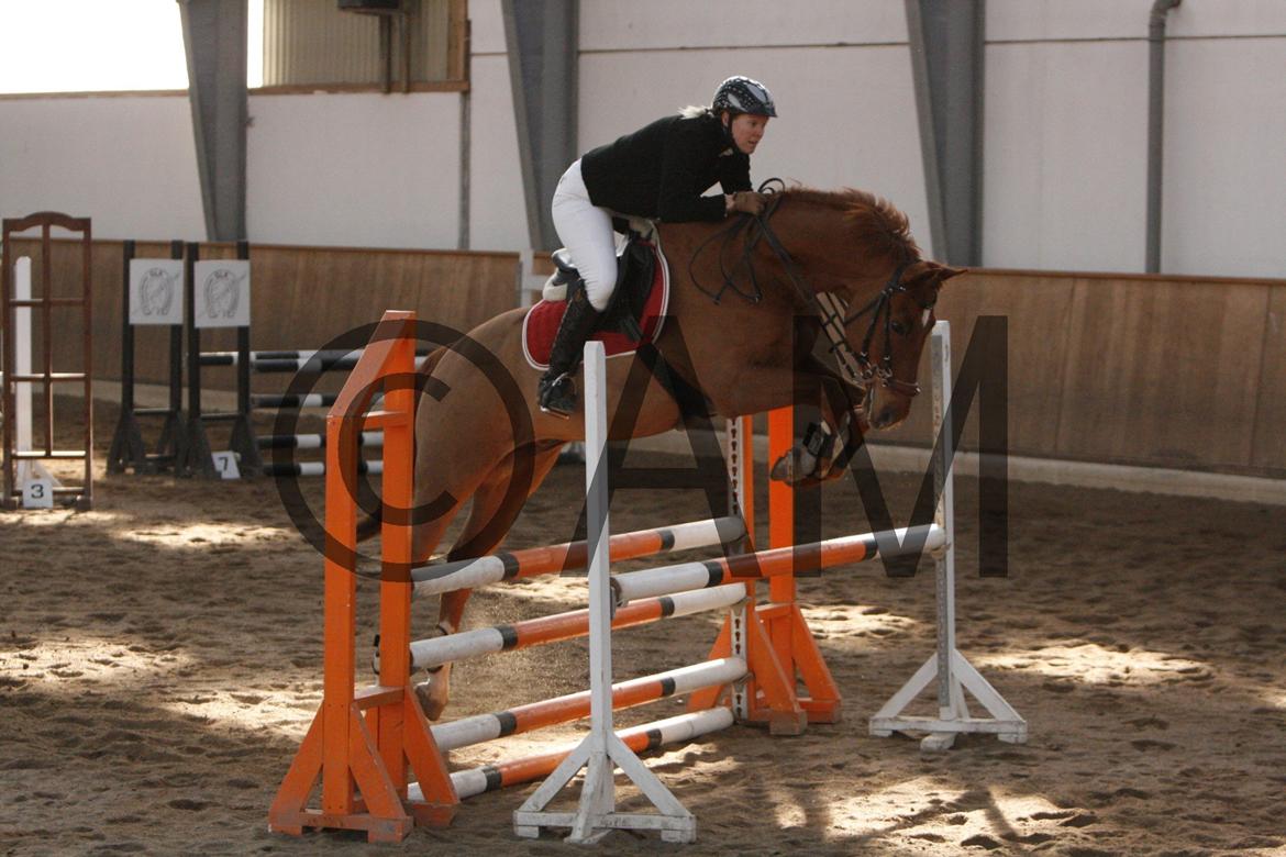 17/03 - 13 | Glostrup rideklub, spring billede 138