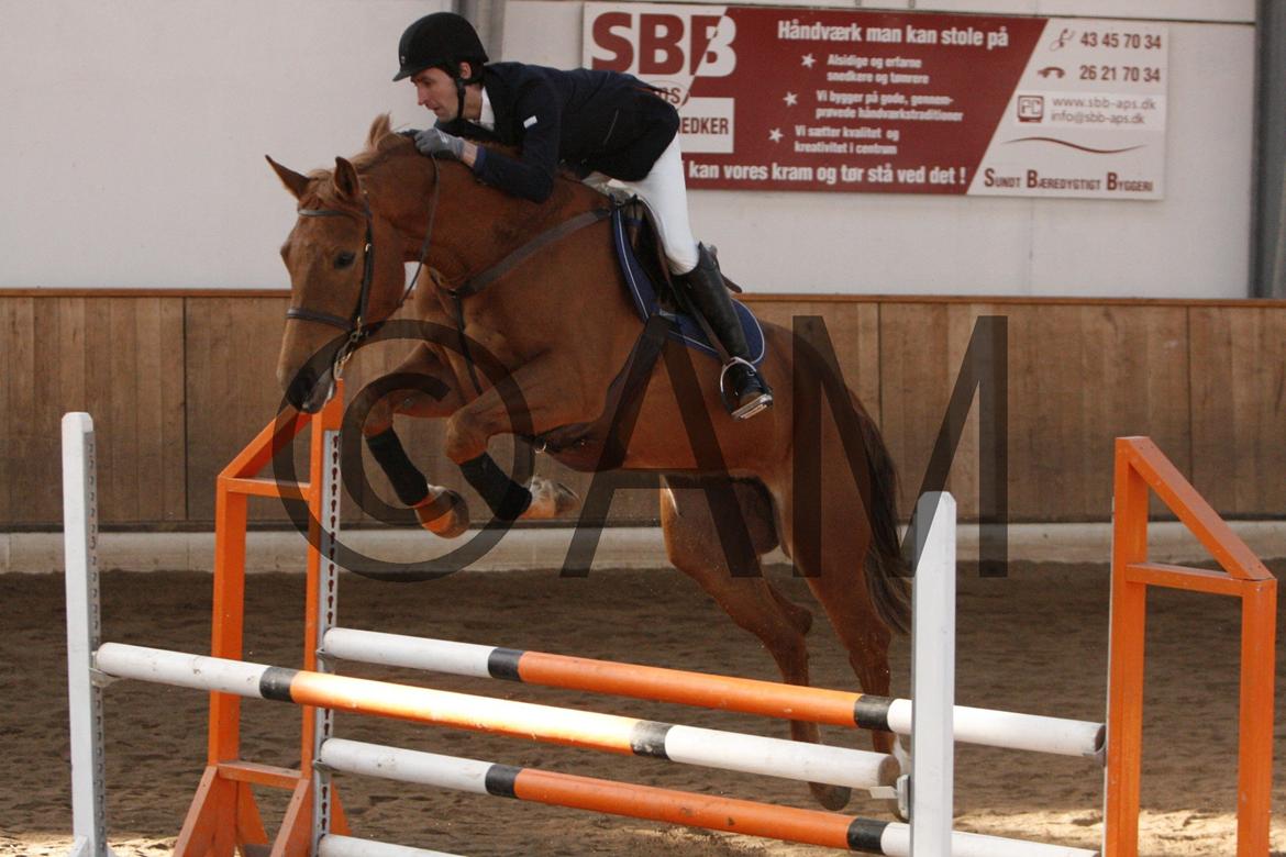 17/03 - 13 | Glostrup rideklub, spring billede 140