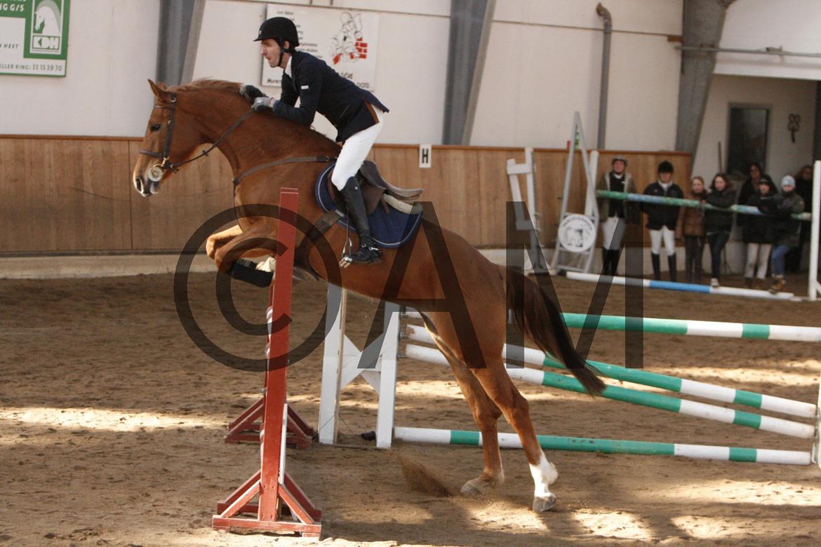 17/03 - 13 | Glostrup rideklub, spring billede 141