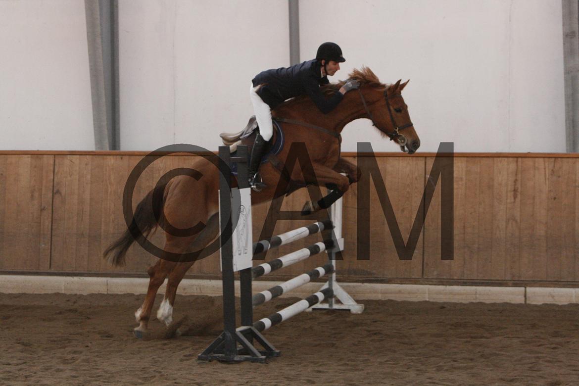 17/03 - 13 | Glostrup rideklub, spring billede 142