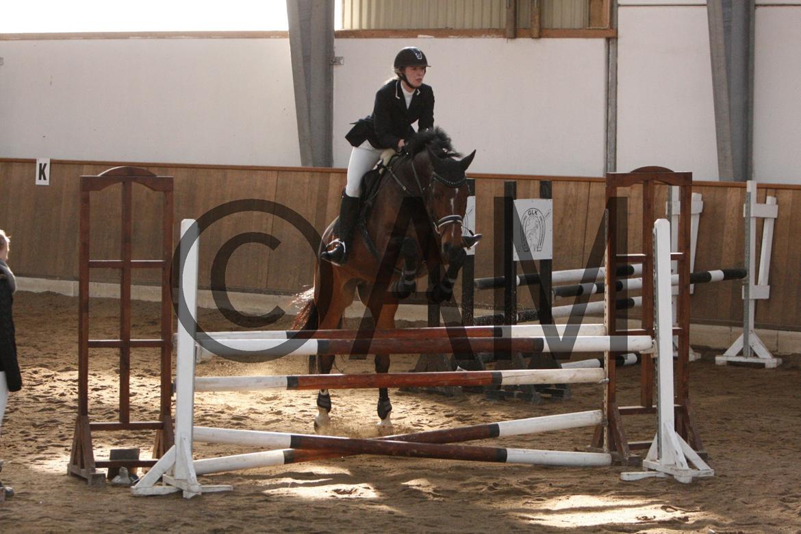 17/03 - 13 | Glostrup rideklub, spring billede 143