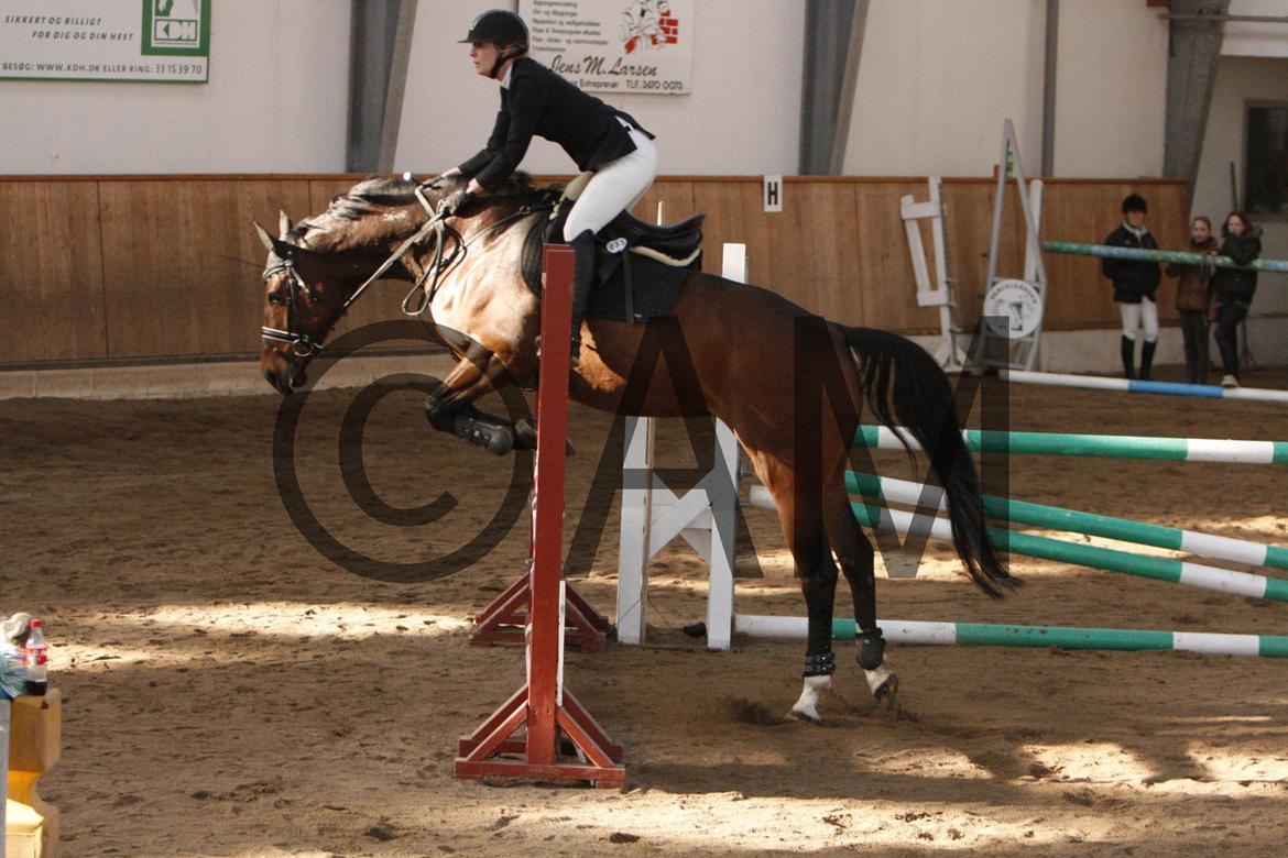 17/03 - 13 | Glostrup rideklub, spring billede 144