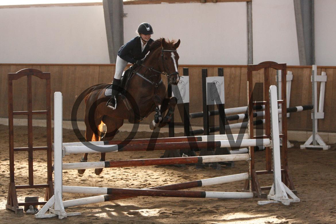 17/03 - 13 | Glostrup rideklub, spring billede 146