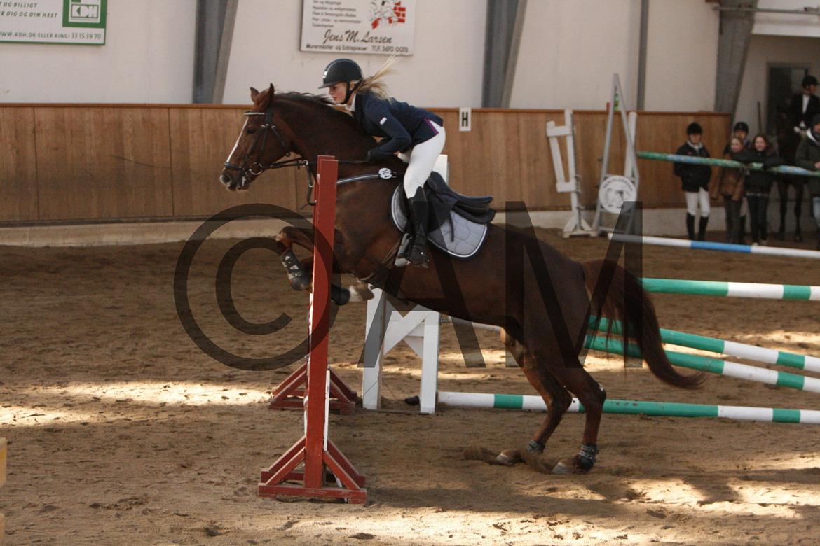 17/03 - 13 | Glostrup rideklub, spring billede 147