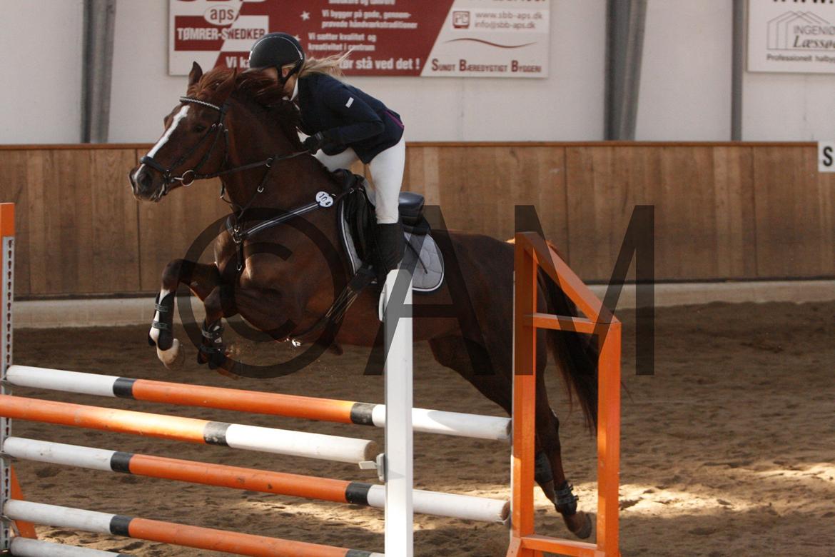 17/03 - 13 | Glostrup rideklub, spring billede 150