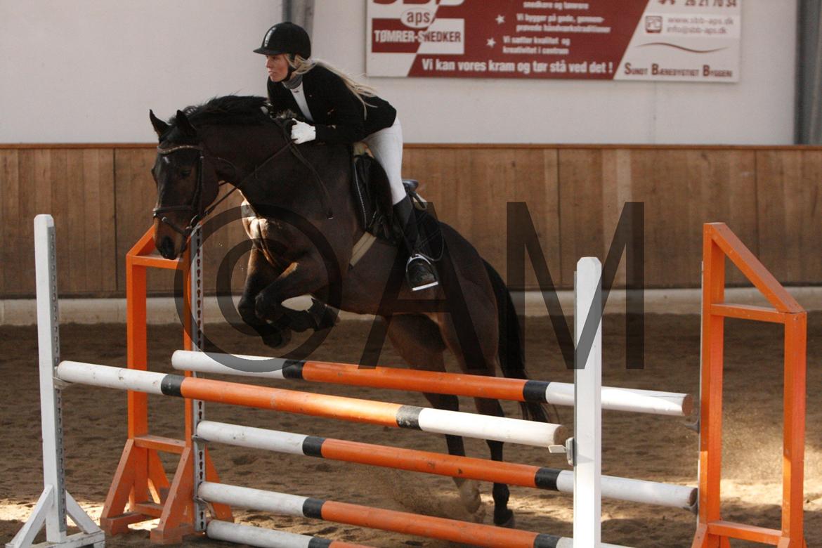 17/03 - 13 | Glostrup rideklub, spring billede 151