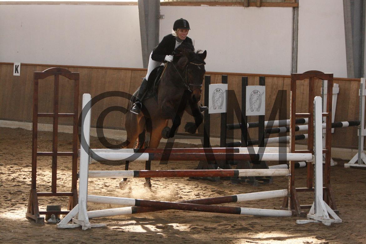 17/03 - 13 | Glostrup rideklub, spring billede 152