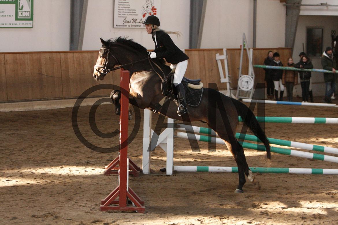 17/03 - 13 | Glostrup rideklub, spring billede 153