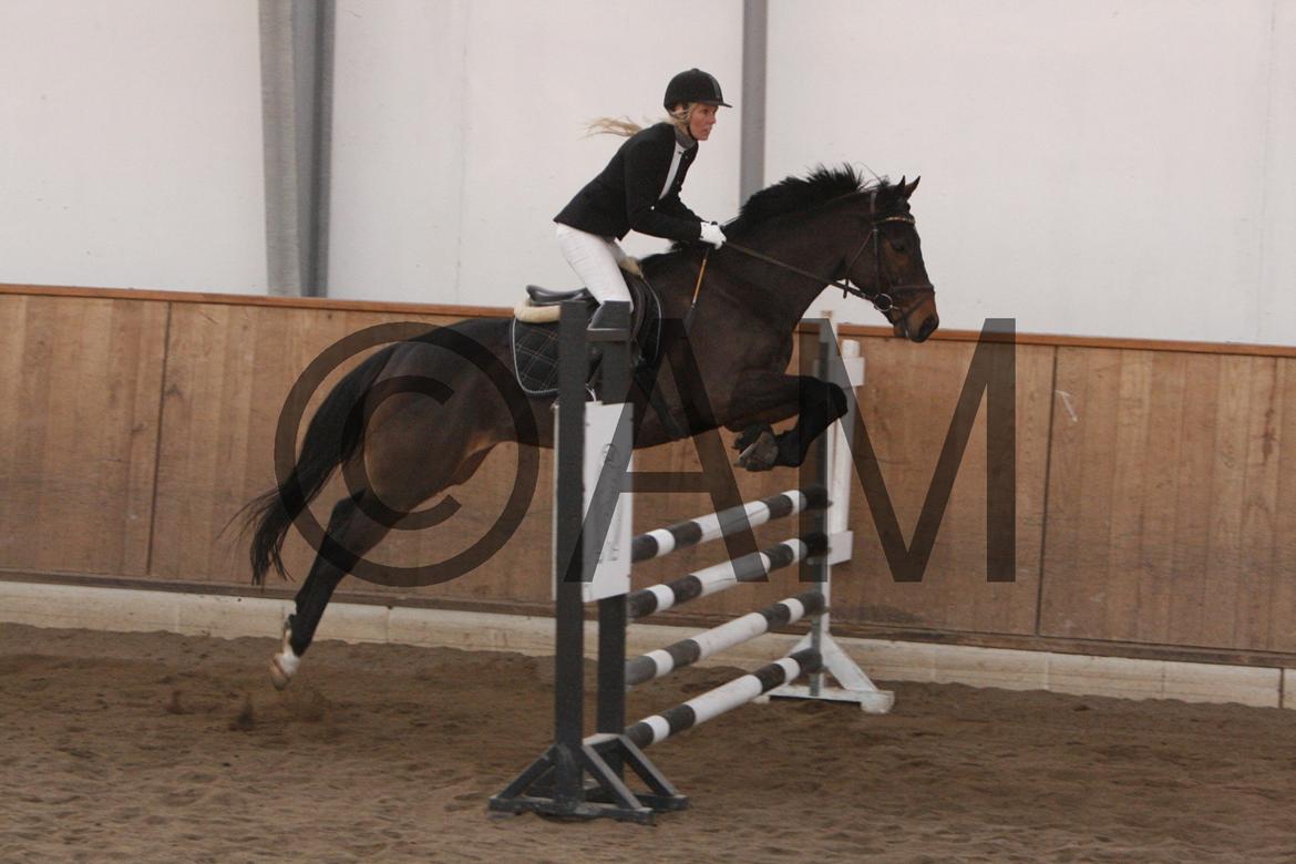 17/03 - 13 | Glostrup rideklub, spring billede 154