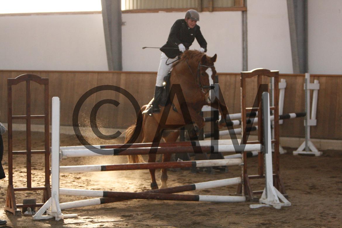 17/03 - 13 | Glostrup rideklub, spring billede 164