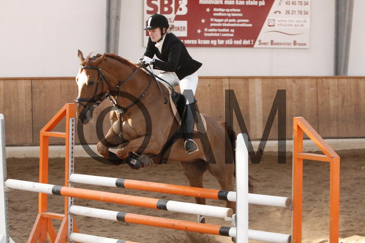 17/03 - 13 | Glostrup rideklub, spring billede 166