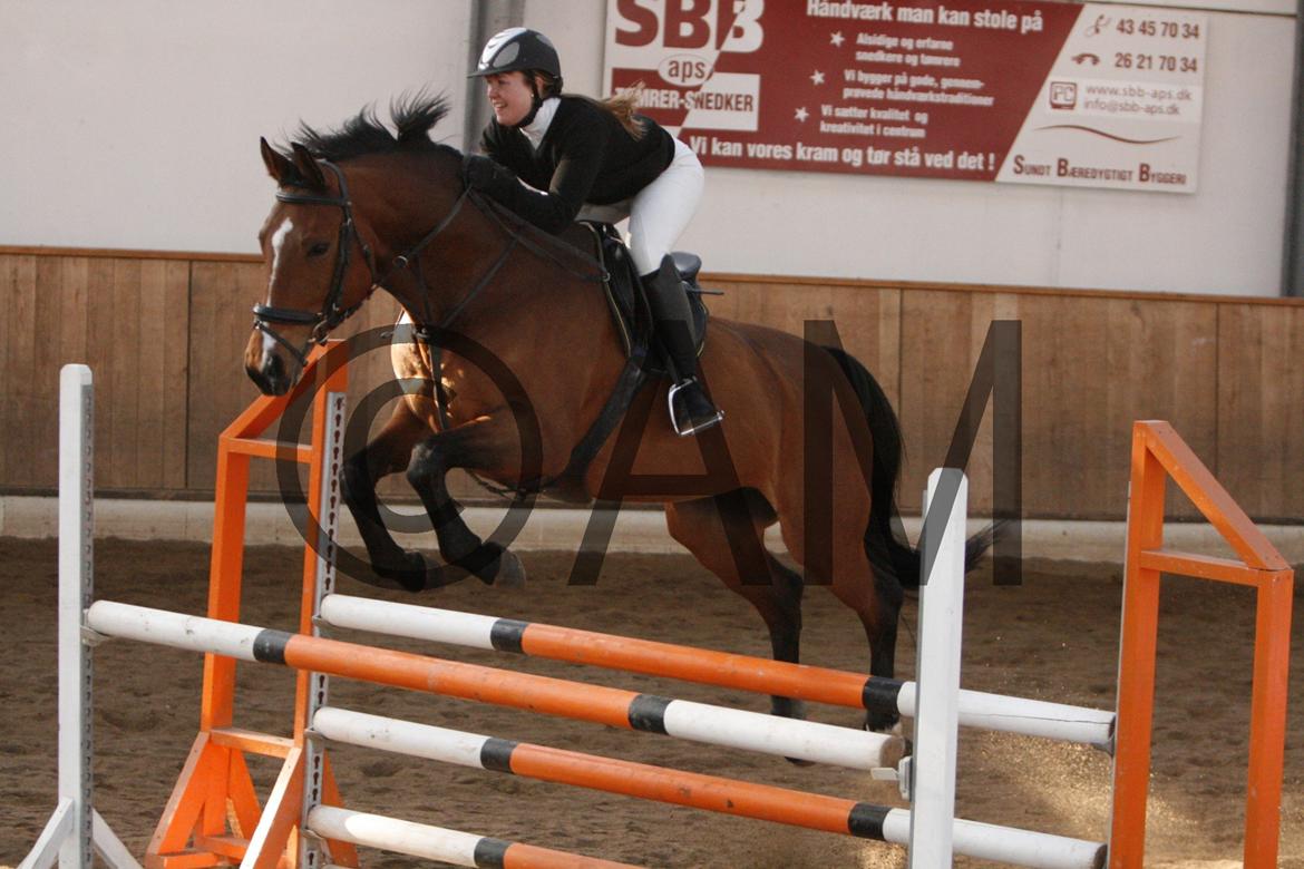 17/03 - 13 | Glostrup rideklub, spring billede 170