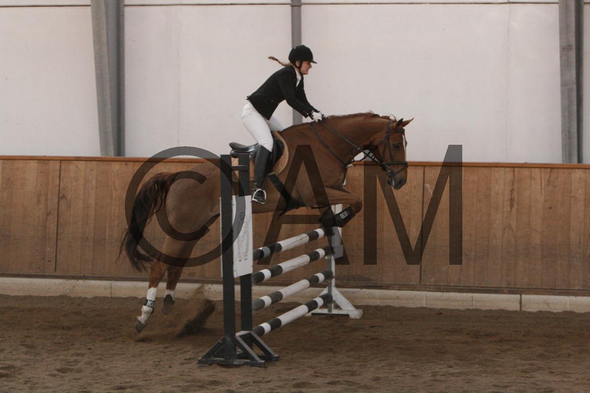 17/03 - 13 | Glostrup rideklub, spring billede 176