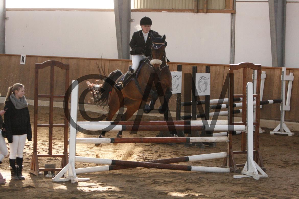 17/03 - 13 | Glostrup rideklub, spring billede 177