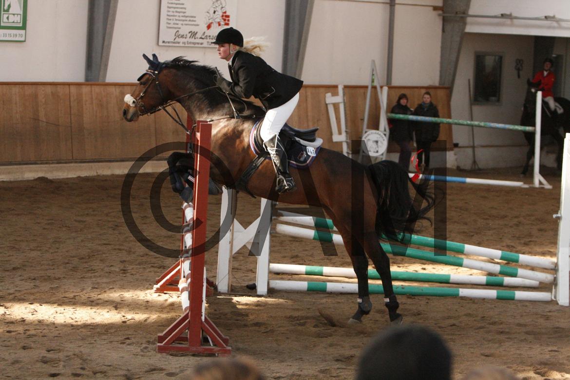 17/03 - 13 | Glostrup rideklub, spring billede 178