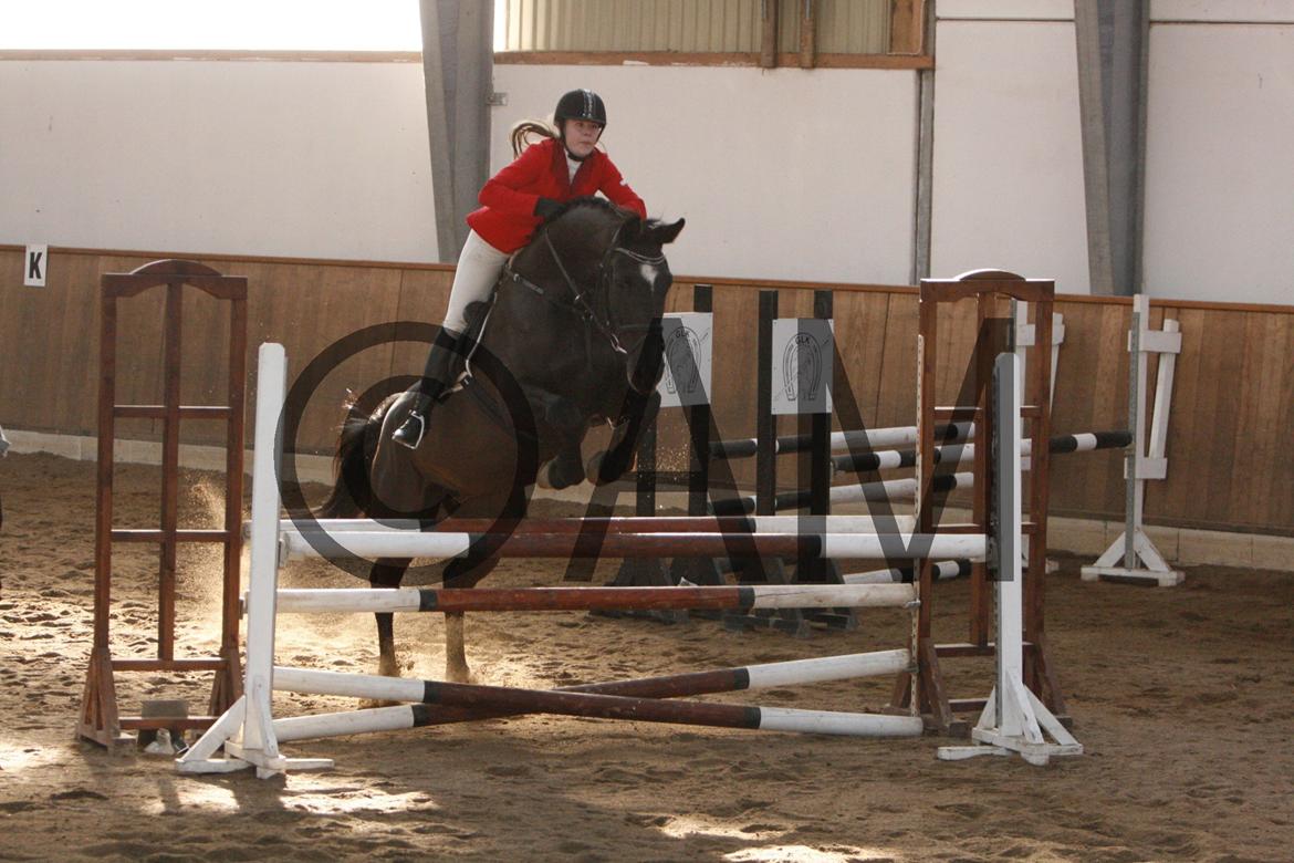 17/03 - 13 | Glostrup rideklub, spring billede 179