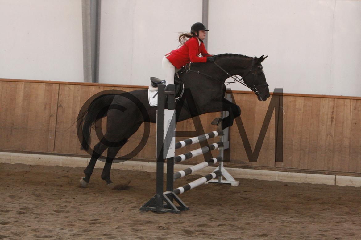 17/03 - 13 | Glostrup rideklub, spring billede 180