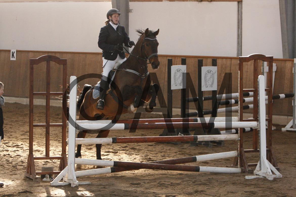 17/03 - 13 | Glostrup rideklub, spring billede 181