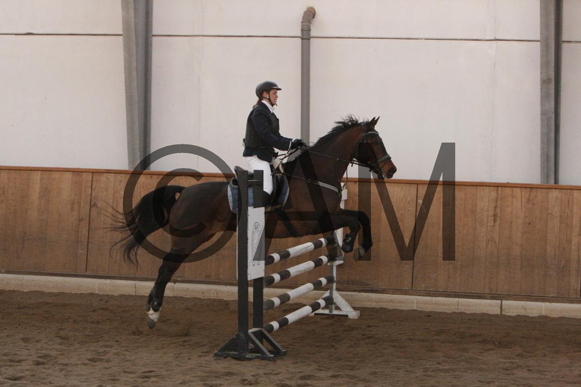 17/03 - 13 | Glostrup rideklub, spring billede 182