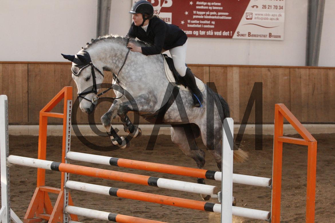 17/03 - 13 | Glostrup rideklub, spring billede 184