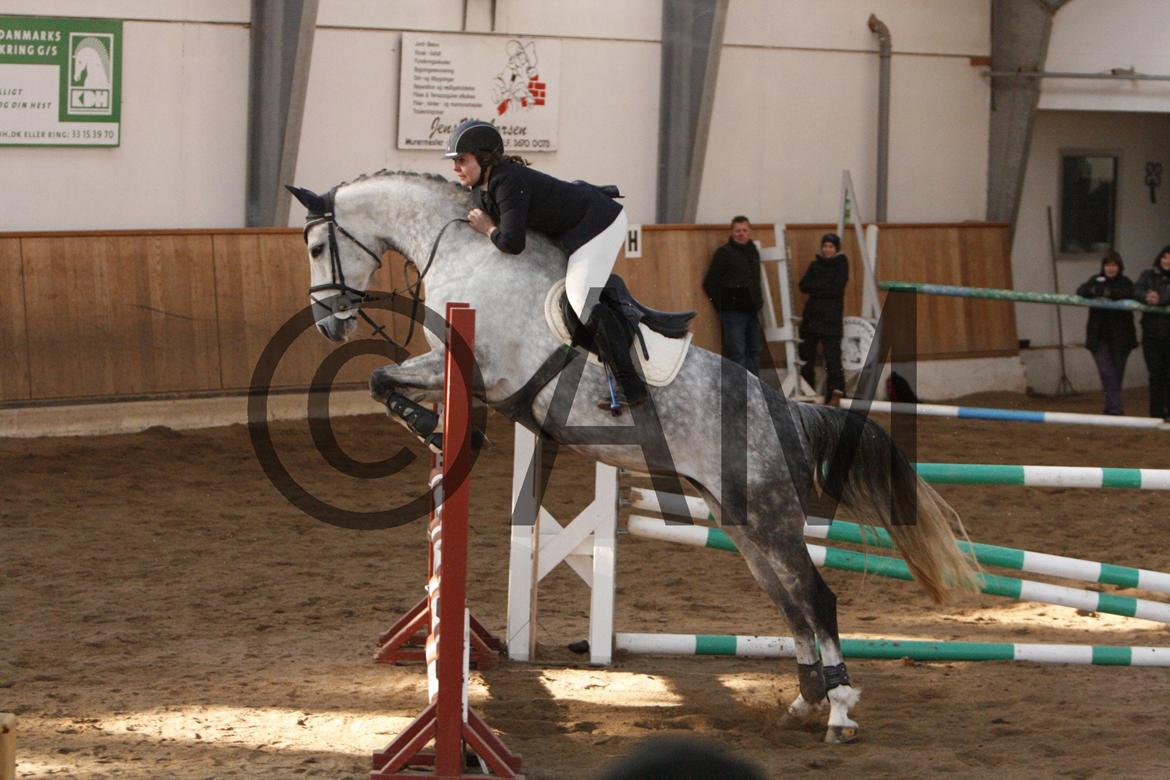 17/03 - 13 | Glostrup rideklub, spring billede 185