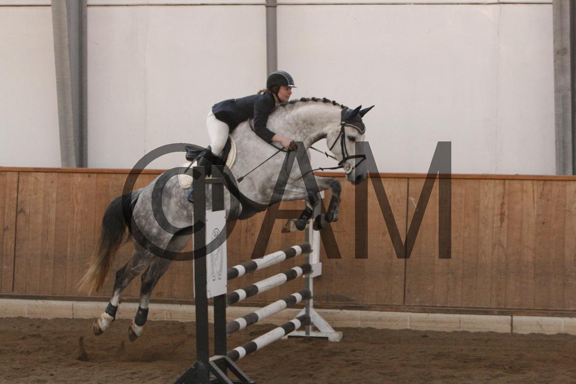 17/03 - 13 | Glostrup rideklub, spring billede 186