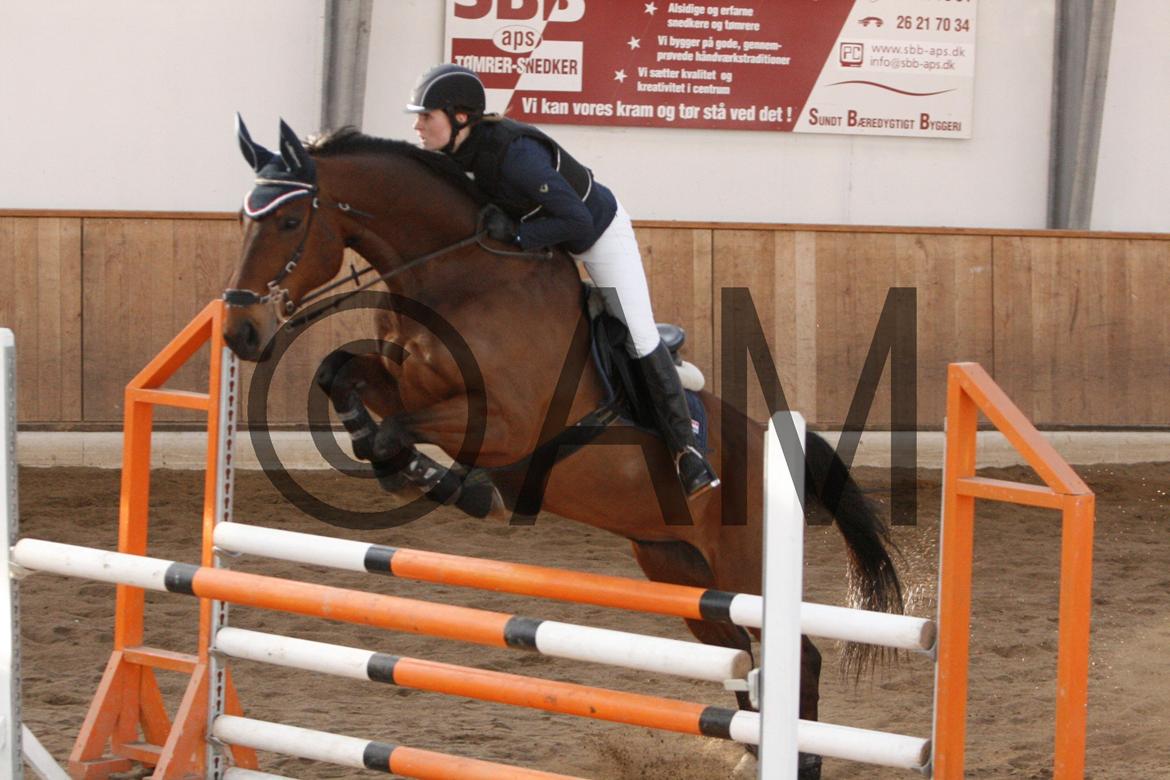 17/03 - 13 | Glostrup rideklub, spring billede 189