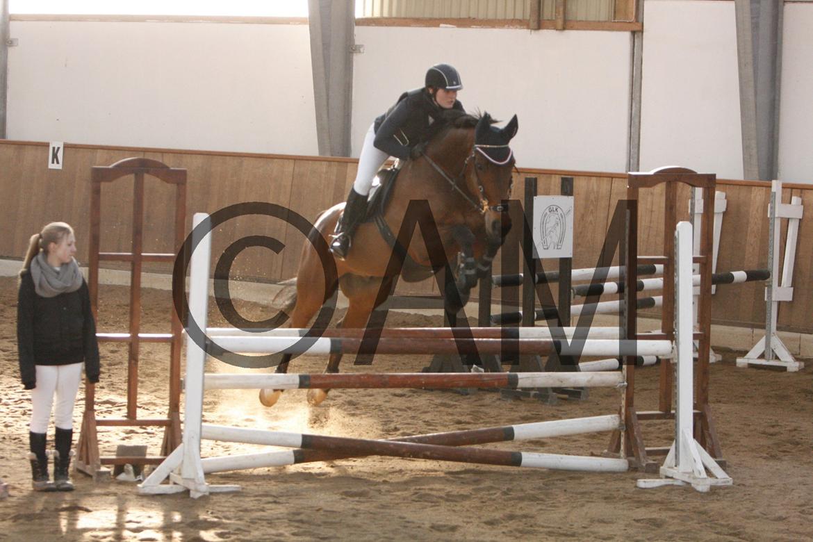 17/03 - 13 | Glostrup rideklub, spring billede 190