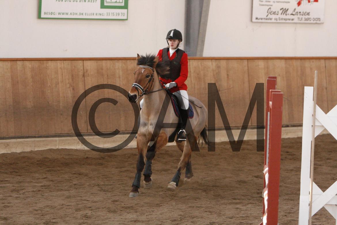 17/03 - 13 | Glostrup rideklub, spring billede 191