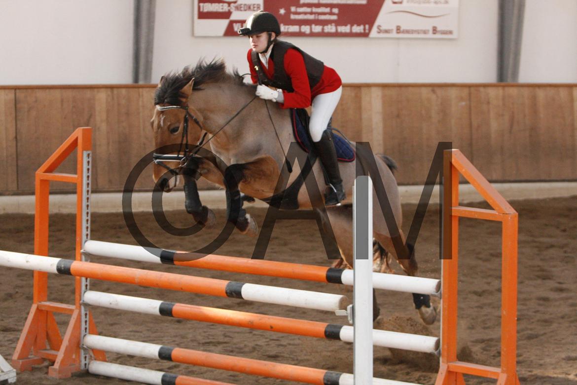 17/03 - 13 | Glostrup rideklub, spring billede 192