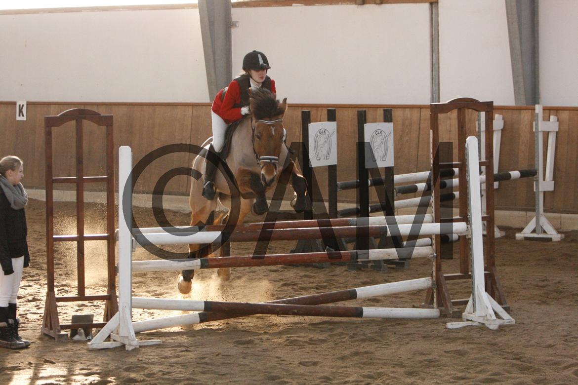 17/03 - 13 | Glostrup rideklub, spring billede 193