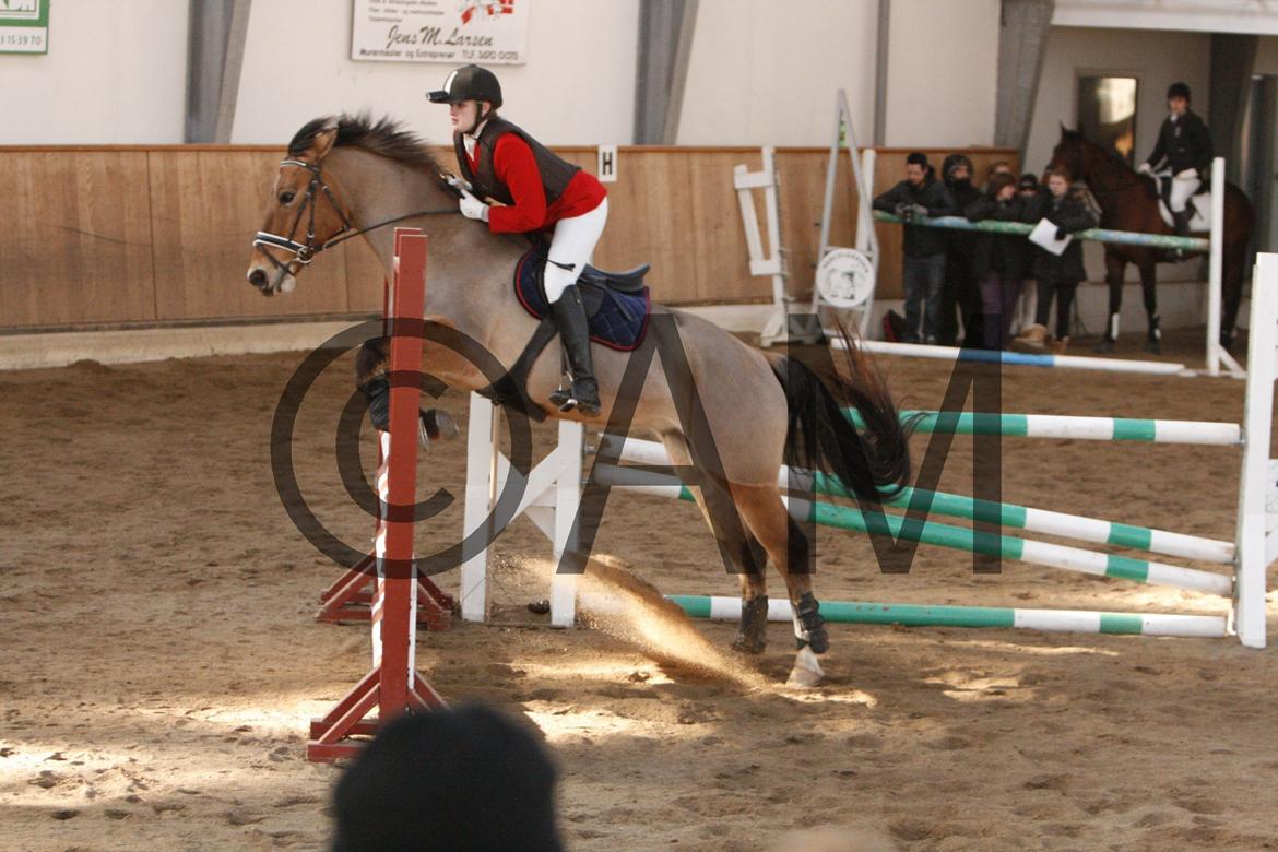 17/03 - 13 | Glostrup rideklub, spring billede 198