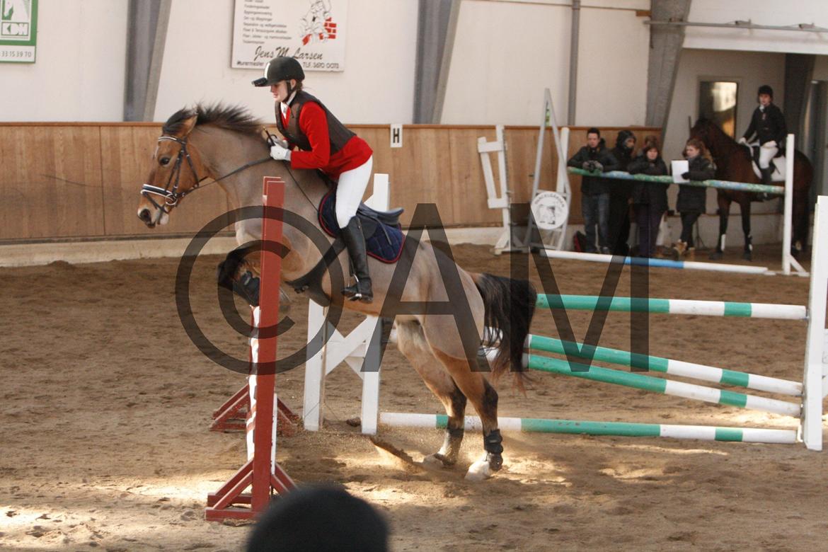 17/03 - 13 | Glostrup rideklub, spring billede 203