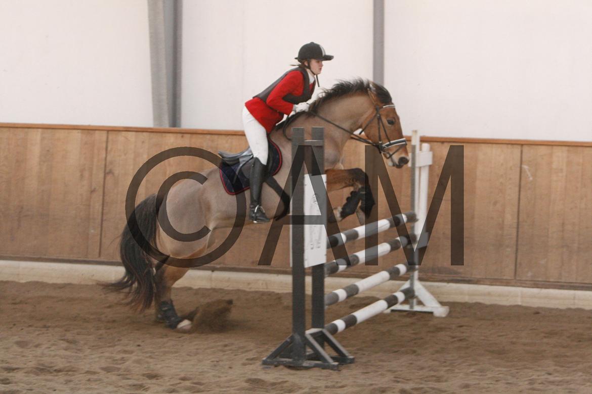 17/03 - 13 | Glostrup rideklub, spring billede 204