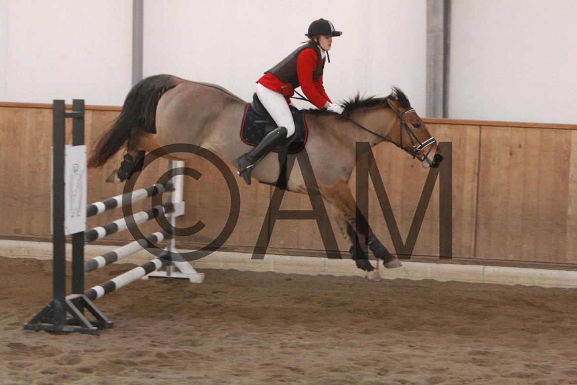 17/03 - 13 | Glostrup rideklub, spring billede 205